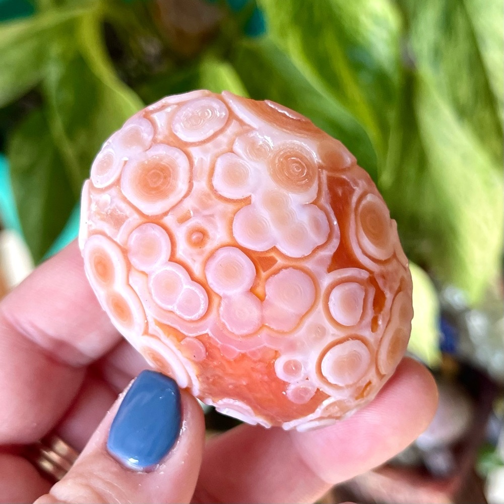 🧡Orbicular Gobi Agate Crystal Specimen Inner Mongolia🧡 - Picture 3 of 5